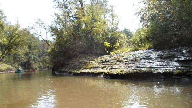 Camper-submitted photo at Omussee Creek Park near Sneads, FL