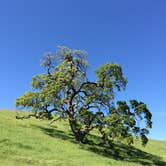 Review photo of Del Valle Regional Park by Stuart K., November 1, 2021