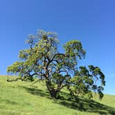 Review photo of Del Valle Regional Park by Stuart K., November 1, 2021