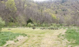 Camping near Camp Run Campground — Shenandoah Wildlife Management Area: Jess Judy, Cabins, West Virginia