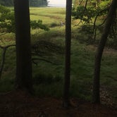 Review photo of Wolfe's Neck Oceanfront Campground by Joshua E., July 6, 2018