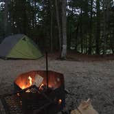 Review photo of Wolfe's Neck Oceanfront Campground by Joshua E., July 6, 2018