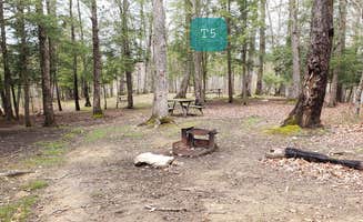 Jean C.'s photo at Battle Run near Summersville Lake