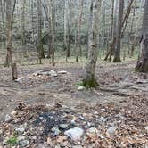 Review photo of Walls of Jericho - Turkey Creek Backcountry Campsite by Asher K., November 1, 2021