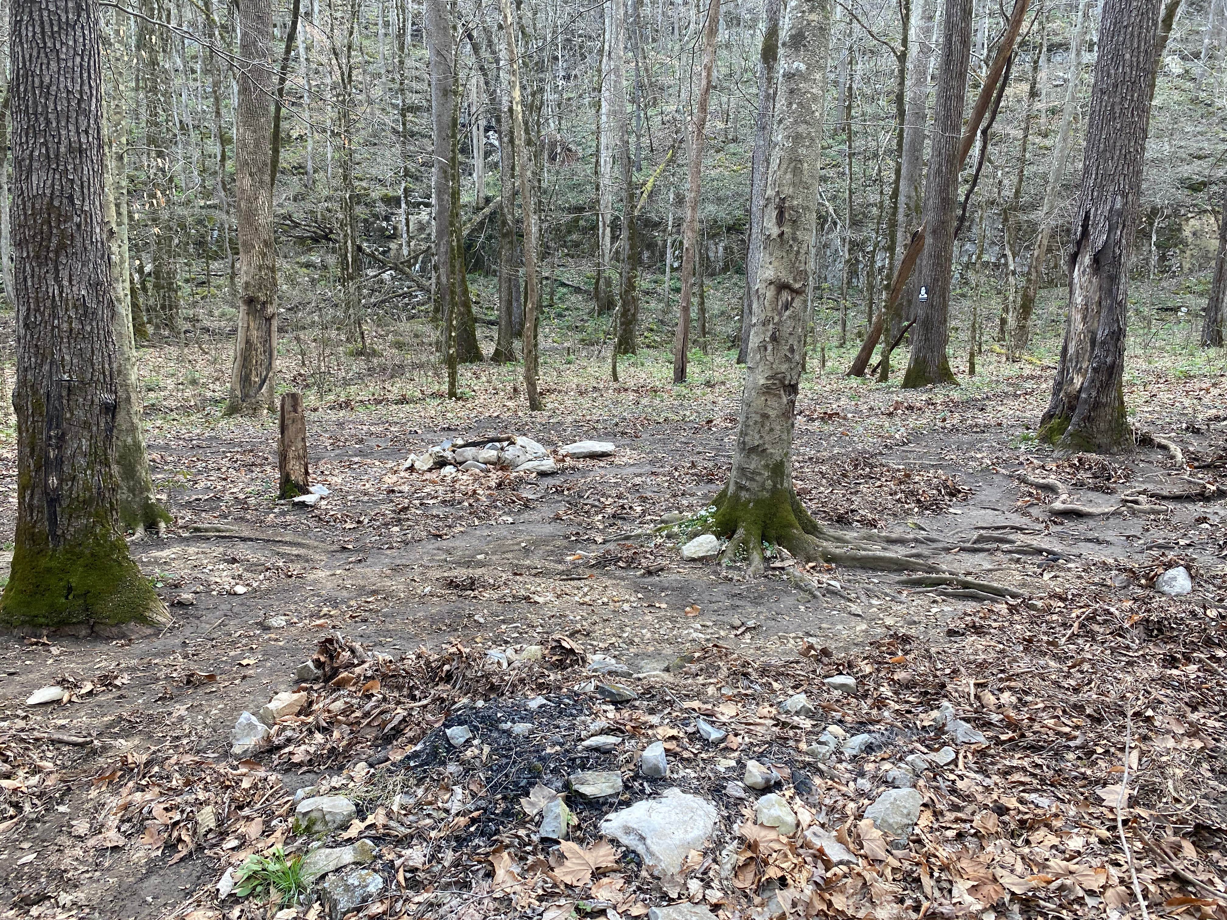 Camper submitted image from Walls of Jericho - Turkey Creek Backcountry Campsite - 1