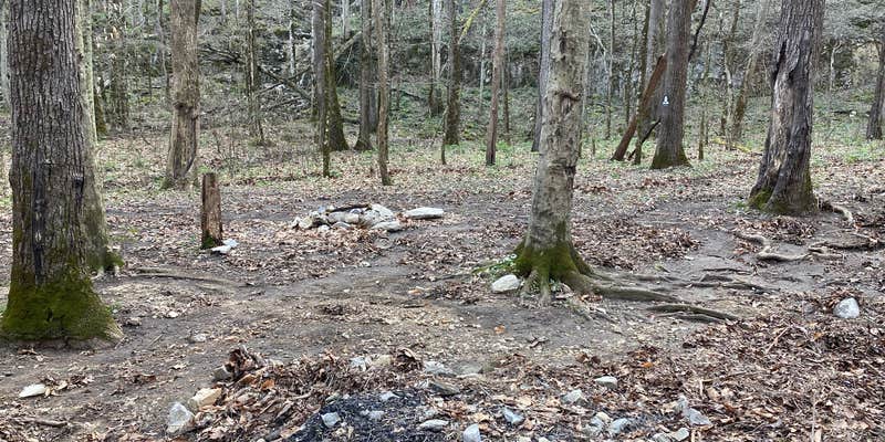 Camper submitted image from Walls of Jericho - Turkey Creek Backcountry Campsite