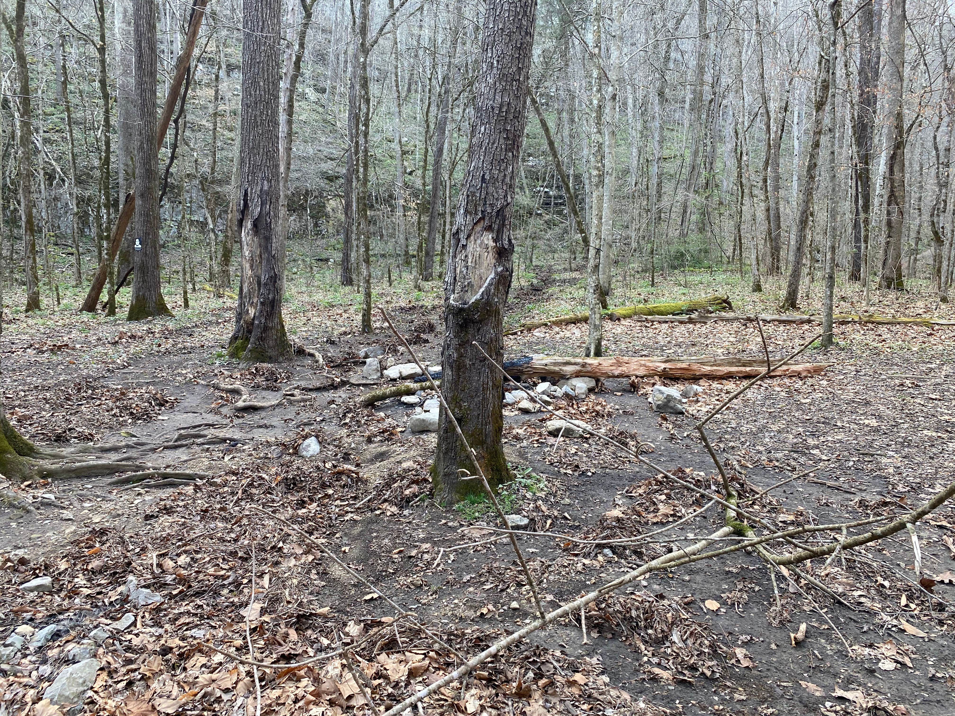 Camper-submitted photo at Walls of Jericho - Turkey Creek Backcountry Campsite near Estillfork, AL