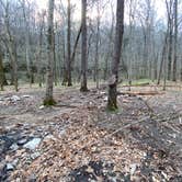 Review photo of Walls of Jericho - Turkey Creek Backcountry Campsite by Asher K., November 1, 2021