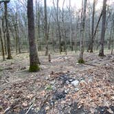 Review photo of Walls of Jericho - Turkey Creek Backcountry Campsite by Asher K., November 1, 2021