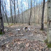 Review photo of Walls of Jericho - Turkey Creek Backcountry Campsite by Asher K., November 1, 2021