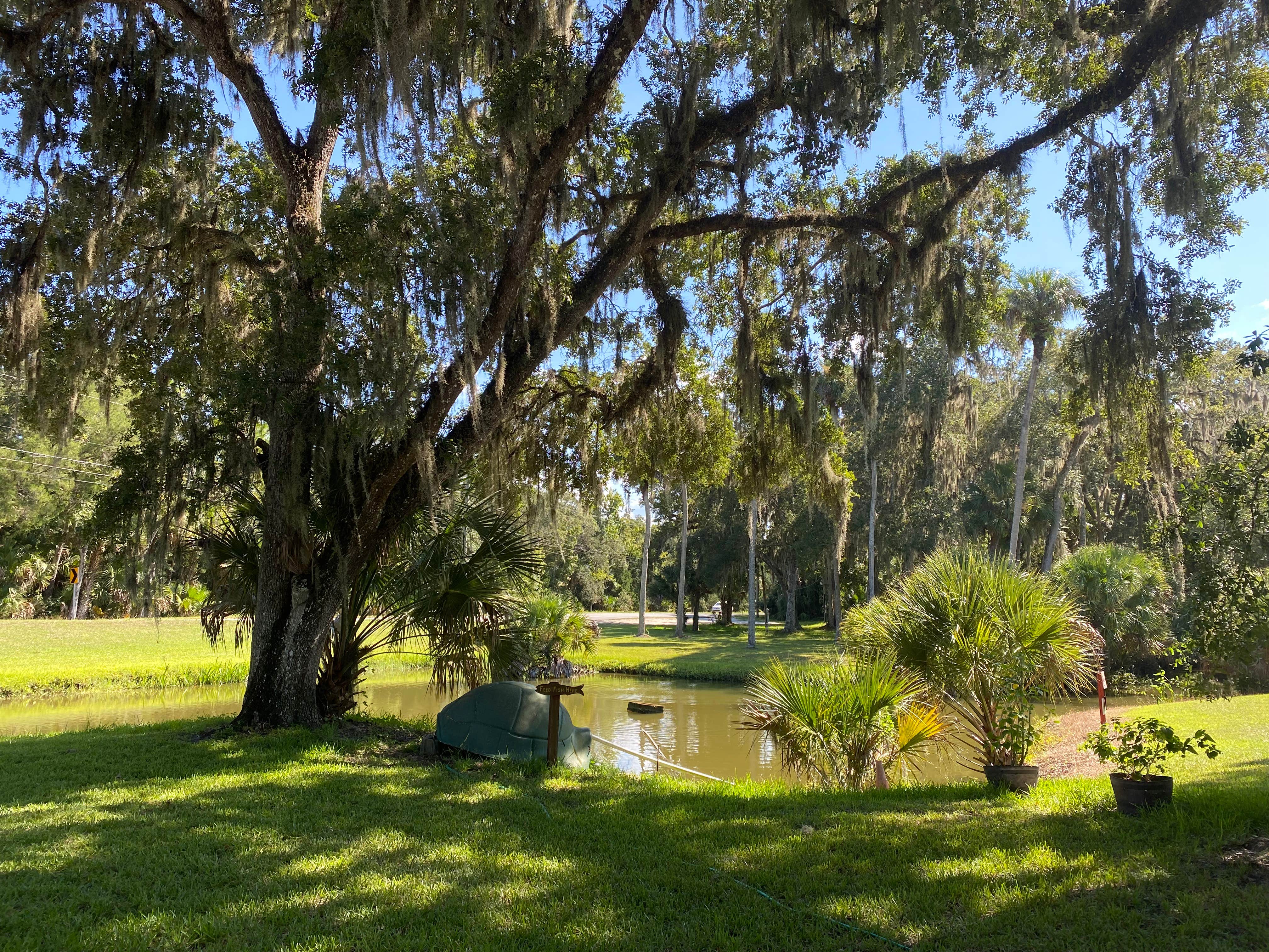 Stuart K.'s photo at Indian Mills Camping Area — Bluestone Lake Wildlife Management Area near Narrows, VA