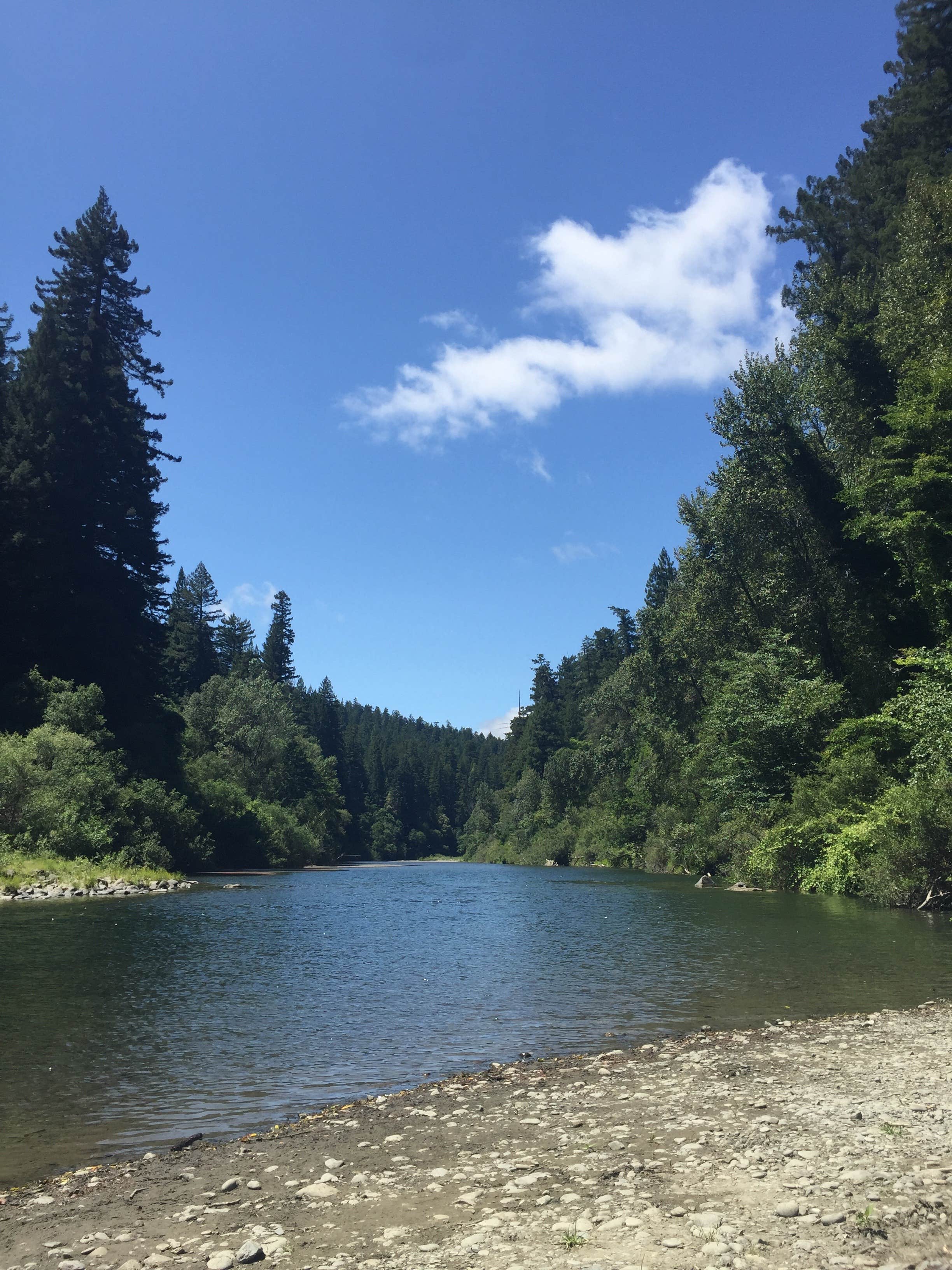 Camper submitted image from Indian Mills Camping Area — Bluestone Lake Wildlife Management Area - 3