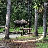 Review photo of Bighorn National Forest Tie Flume Campground by Art S., July 6, 2018