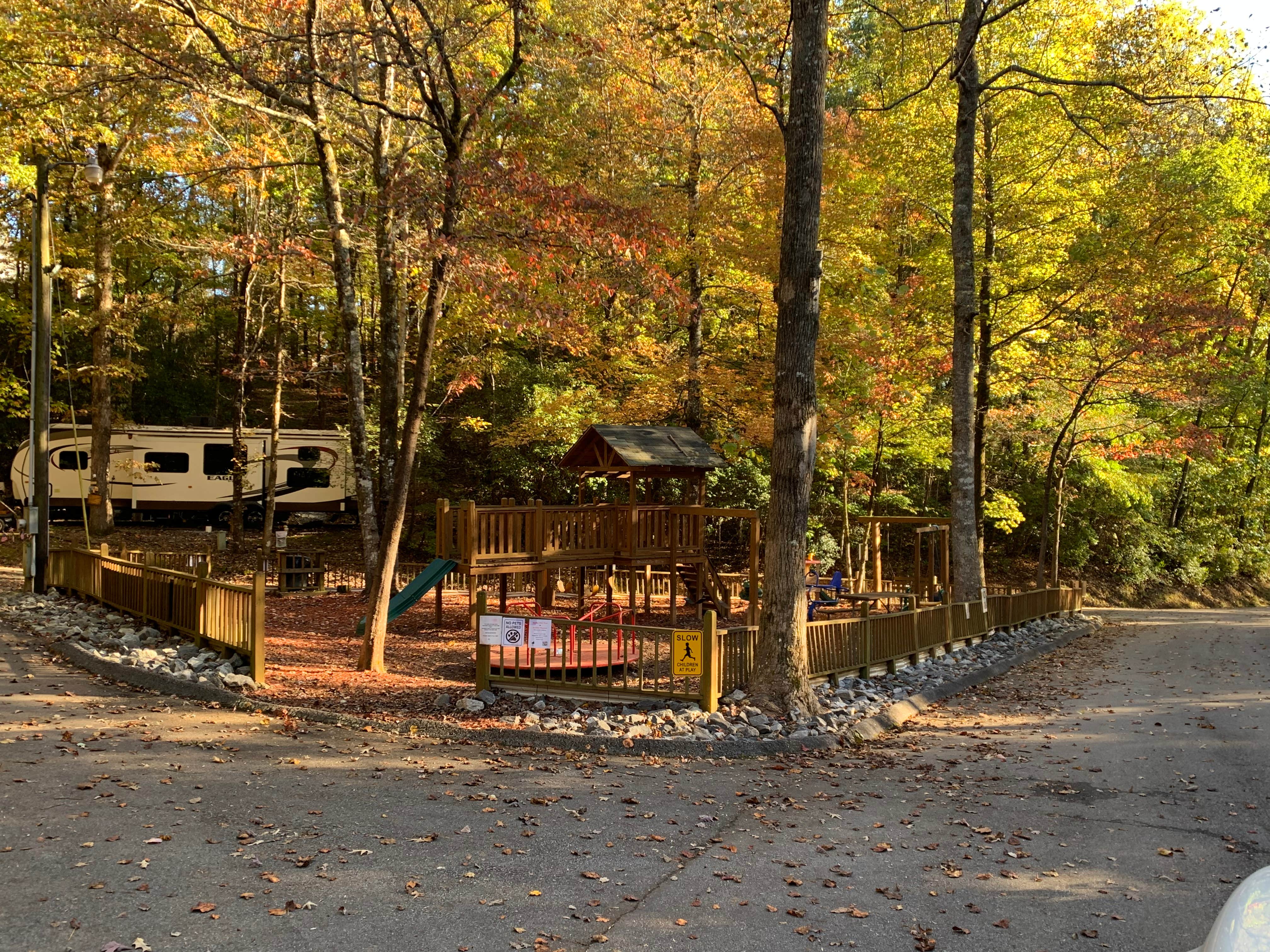 Camper submitted image from Timber Ridge Resort - 4