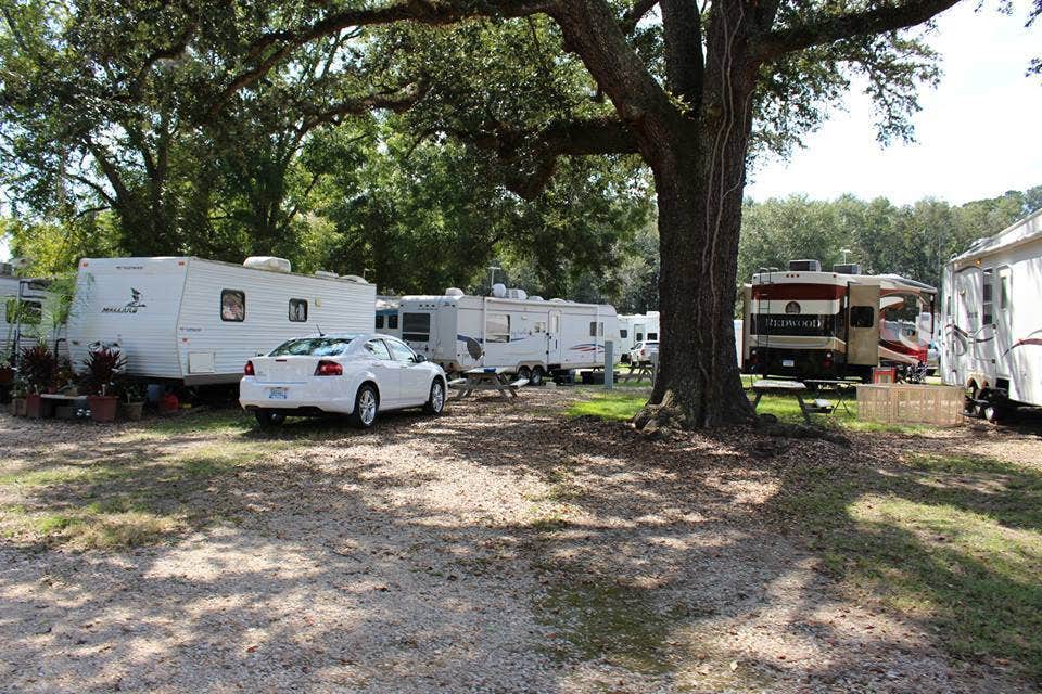 Camper submitted image from Shallow Creek RV Park - 3