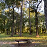 Review photo of Shallow Creek RV Park by Stuart K., November 1, 2021