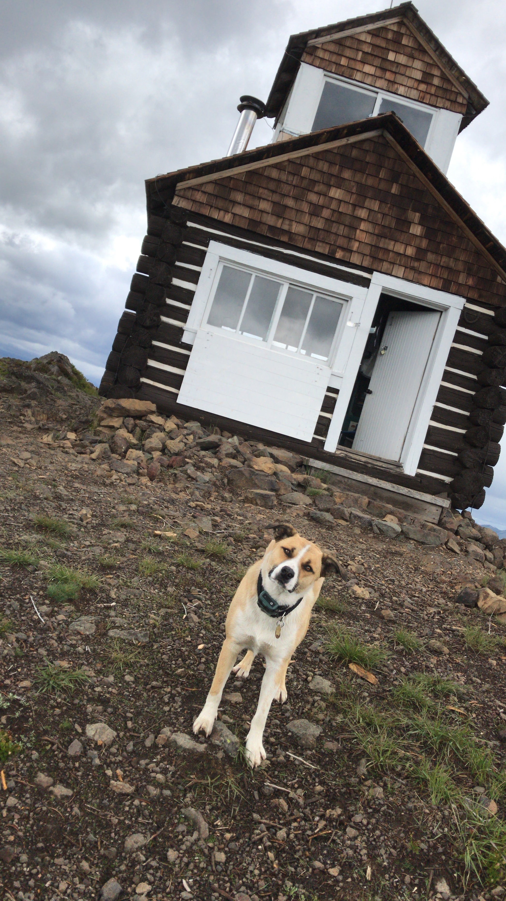 The exterior of the lookout, and our adorable dog. 