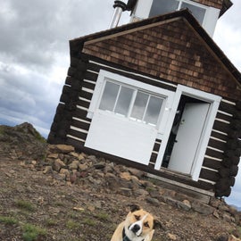 The exterior of the lookout, and our adorable dog. 