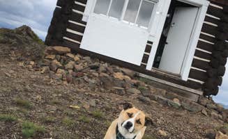 Evelyn M.'s photo of camping with pets at Hornet Lookout near Eureka, MT