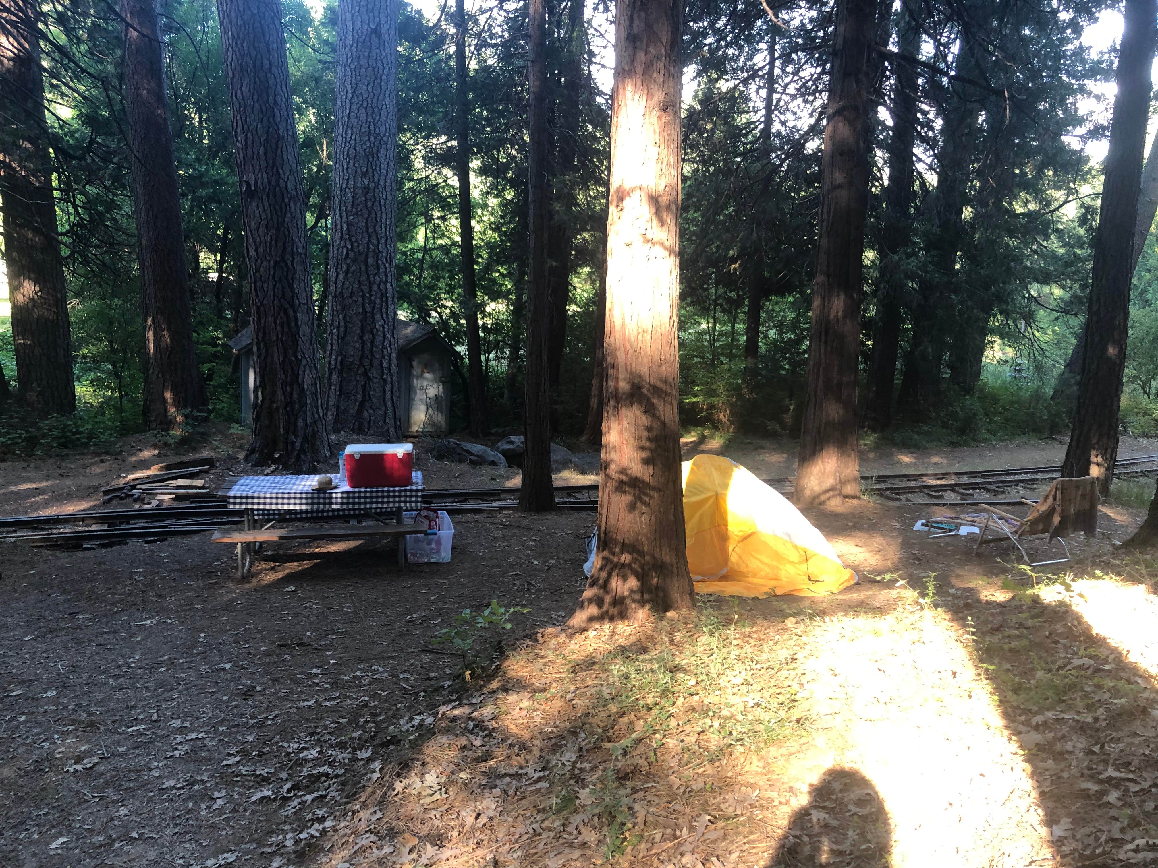 Rishi  B.'s photo at Inn Town Campground near Pinecrest, CA