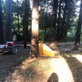 Review photo of Inn Town Campground by Rishi  B., November 1, 2021