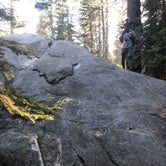Review photo of Hodgdon Meadow Campground — Yosemite National Park by Rishi  B., November 1, 2021
