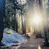 Review photo of Hodgdon Meadow Campground — Yosemite National Park by Rishi  B., November 1, 2021