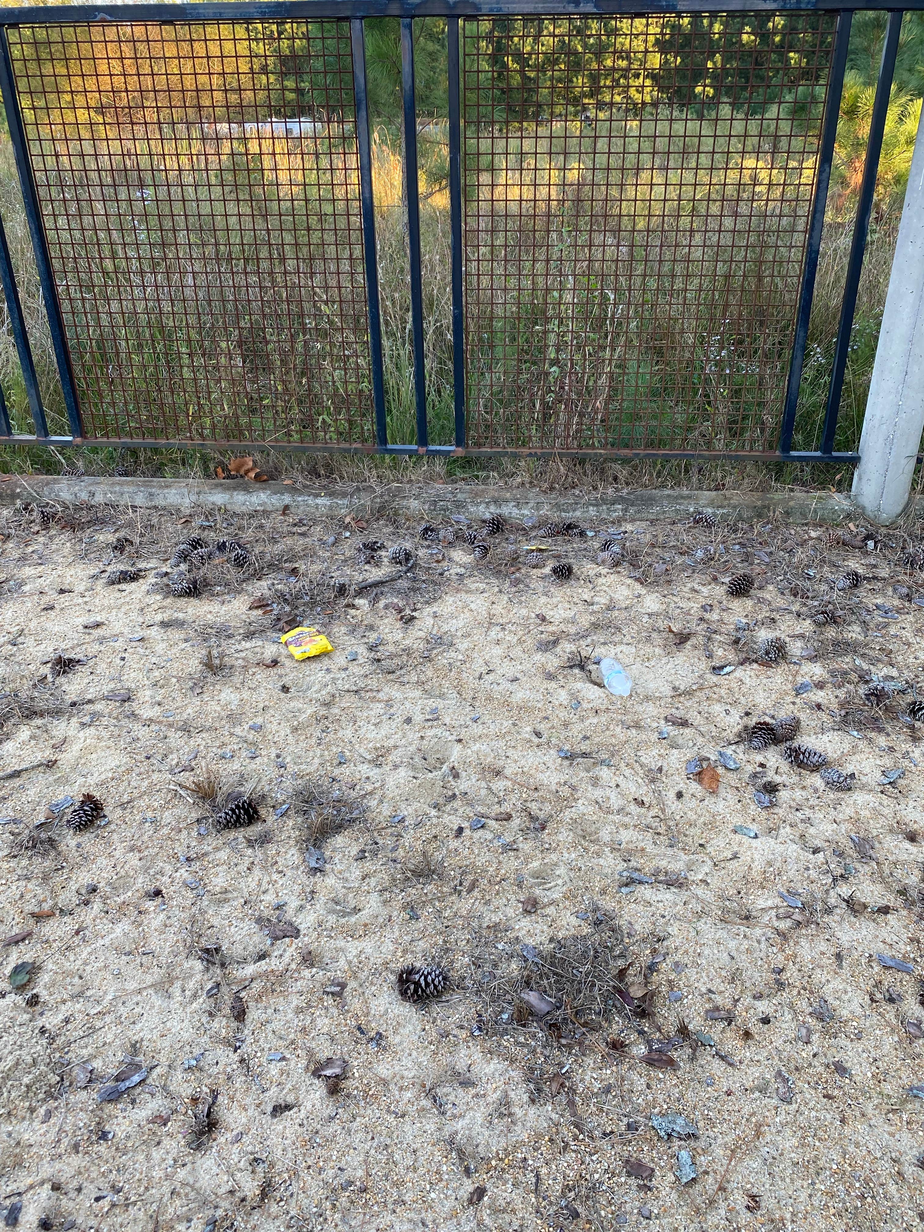 Camper-submitted photo at Rockahock Campgrounds & Resort RV Park near Lanexa, VA