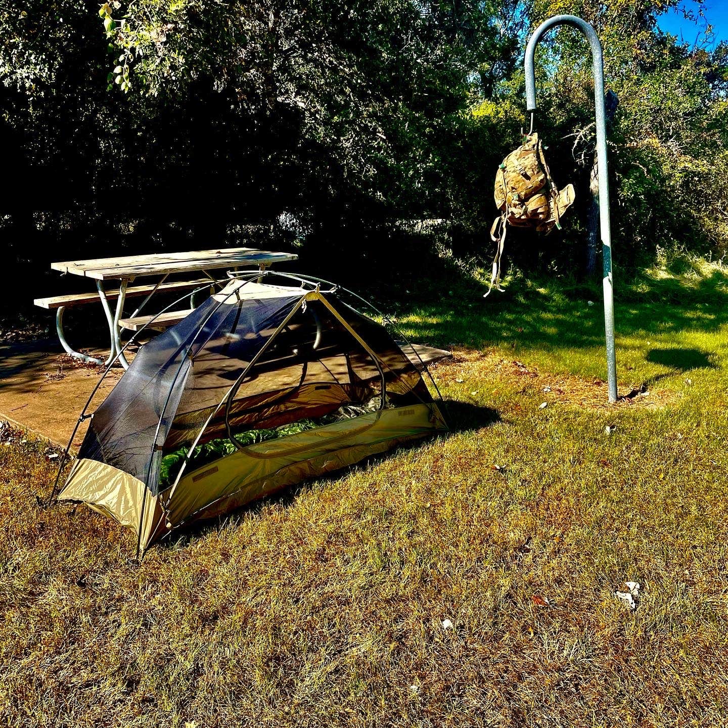 Camper submitted image from Lake Somerville State Park Nails Creek Unit Campground - 4