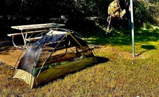 Wes M.'s photo at Lake Somerville State Park Nails Creek Unit Campground near Burton, TX