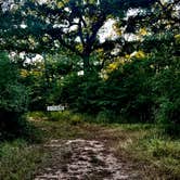 Review photo of Nails Creek Unit — Lake Somerville State Park by Wes M., November 1, 2021