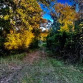 Review photo of Nails Creek Unit — Lake Somerville State Park by Wes M., November 1, 2021