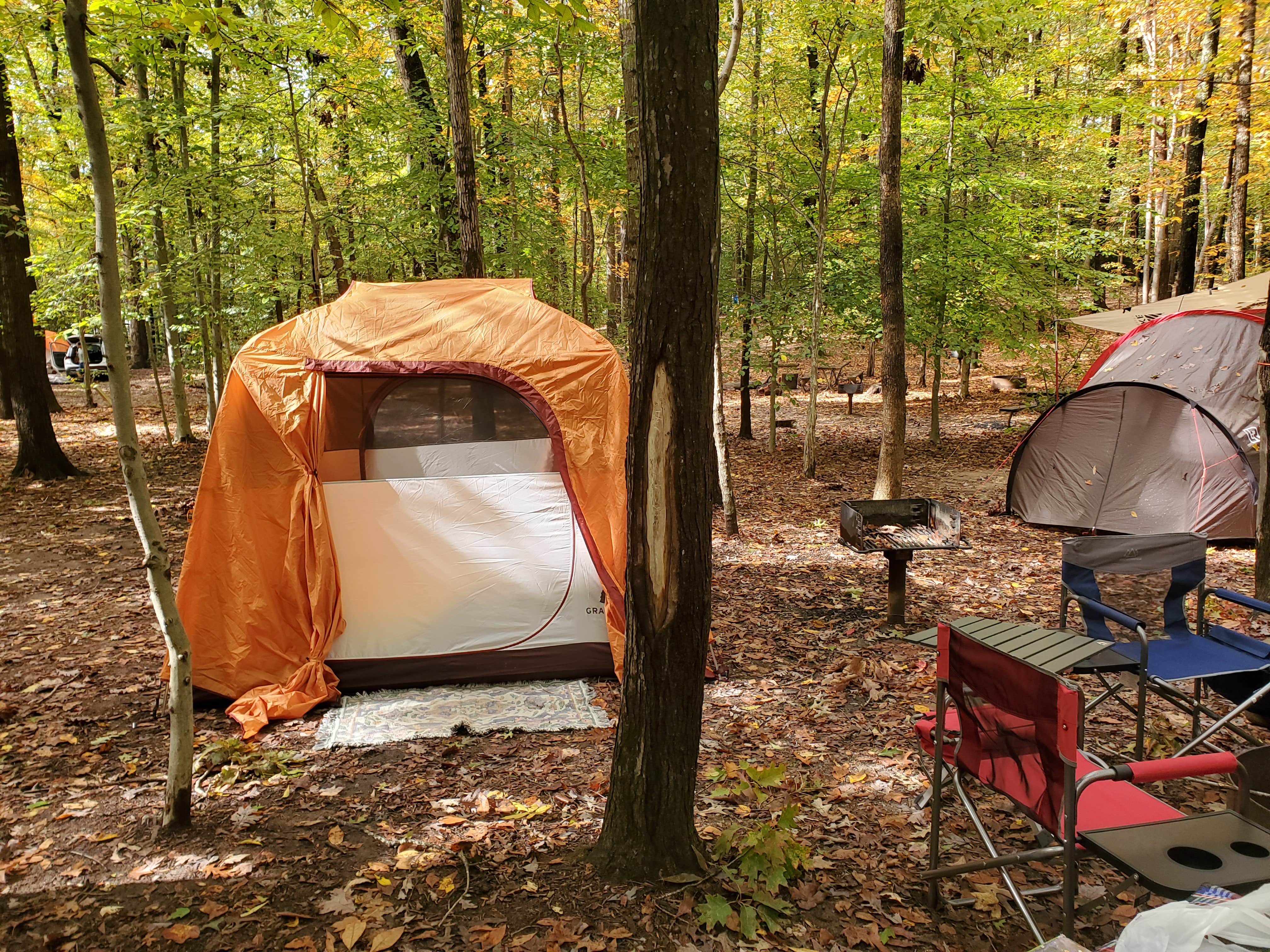 Camper submitted image from Burke Lake Park Campground - 5