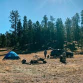 Review photo of Forest Service #247 Road Dispersed Camping by Kevin S., November 1, 2021