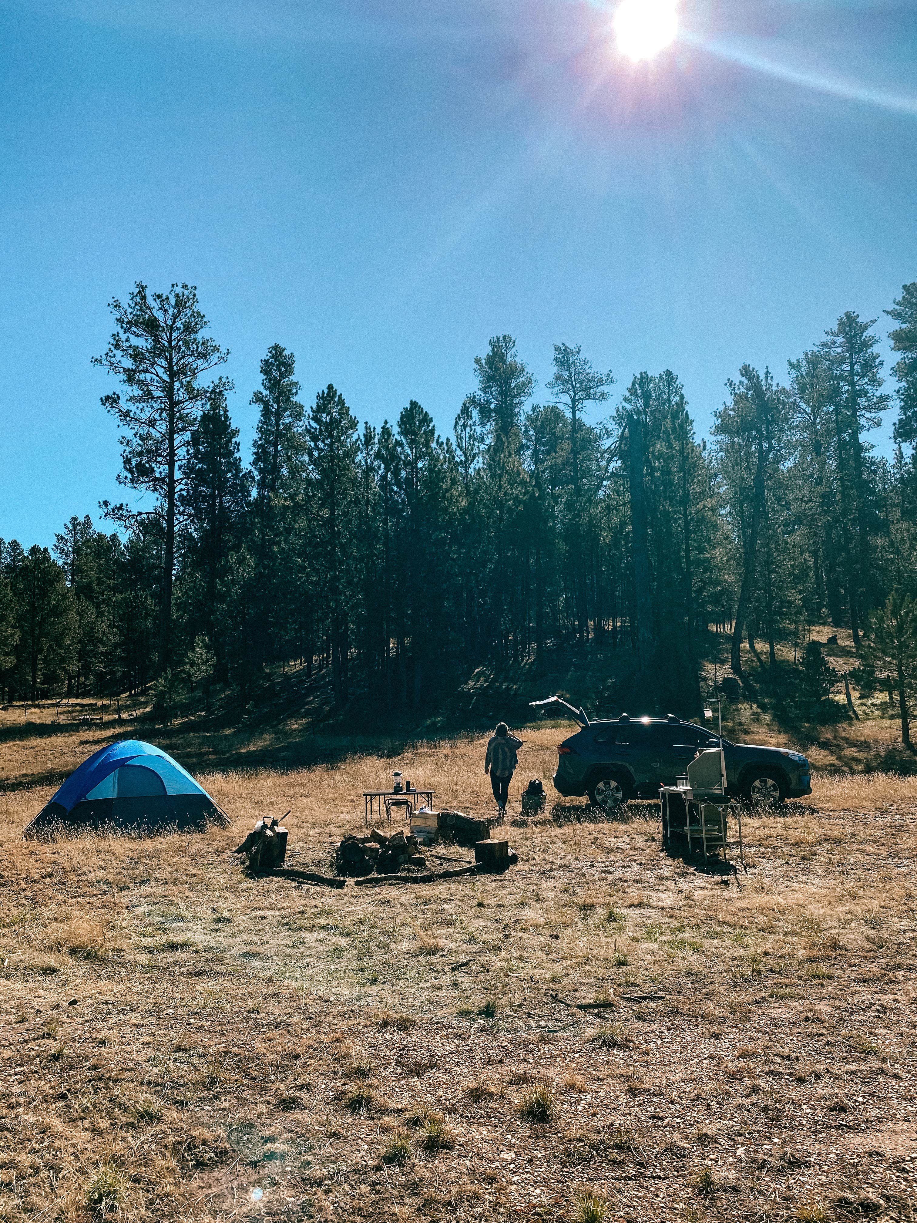 Camper submitted image from Forest Service #247 Road Dispersed Camping - 4