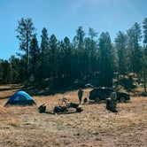 Review photo of Forest Service #247 Road Dispersed Camping by Kevin S., November 1, 2021