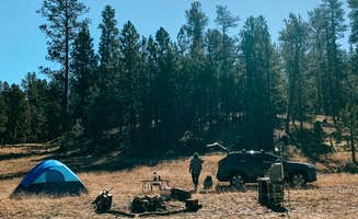 Kevin S.'s photo of a dispersed camping area at Forest Service #247 Road Dispersed Camping near Jacob Lake, AZ