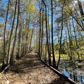 Review photo of Stephen C. Foster State Park Campground by Rich S., November 1, 2021