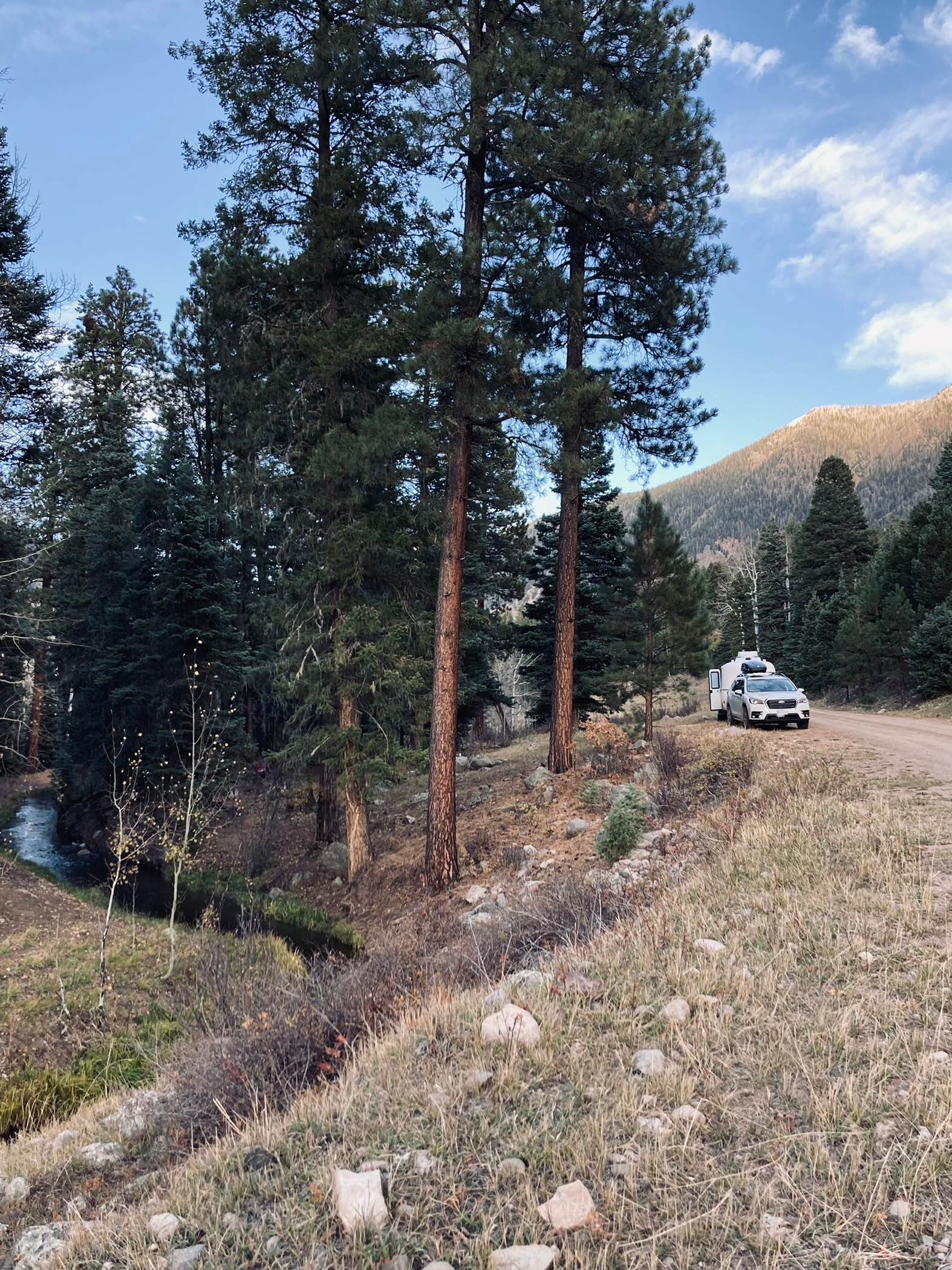 Camper submitted image from FS Road 631/633 - 4