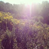 Review photo of F. W. Kent Park by Sarah H., July 23, 2016