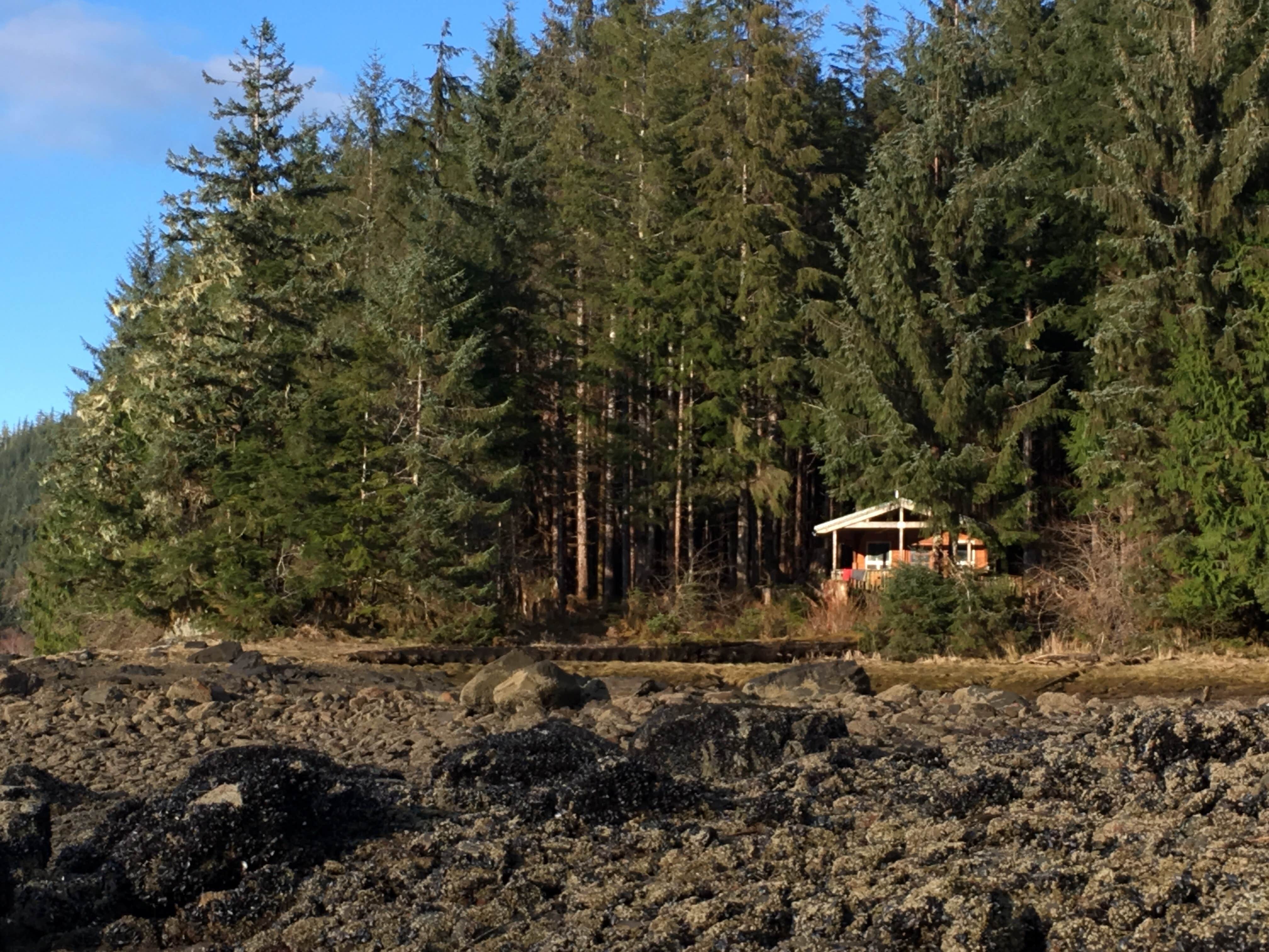 Camper-submitted photo at Twelvemile Cabin near Craig, AK