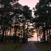 Review photo of Janes Island State Park Campground by Simon S., November 1, 2021