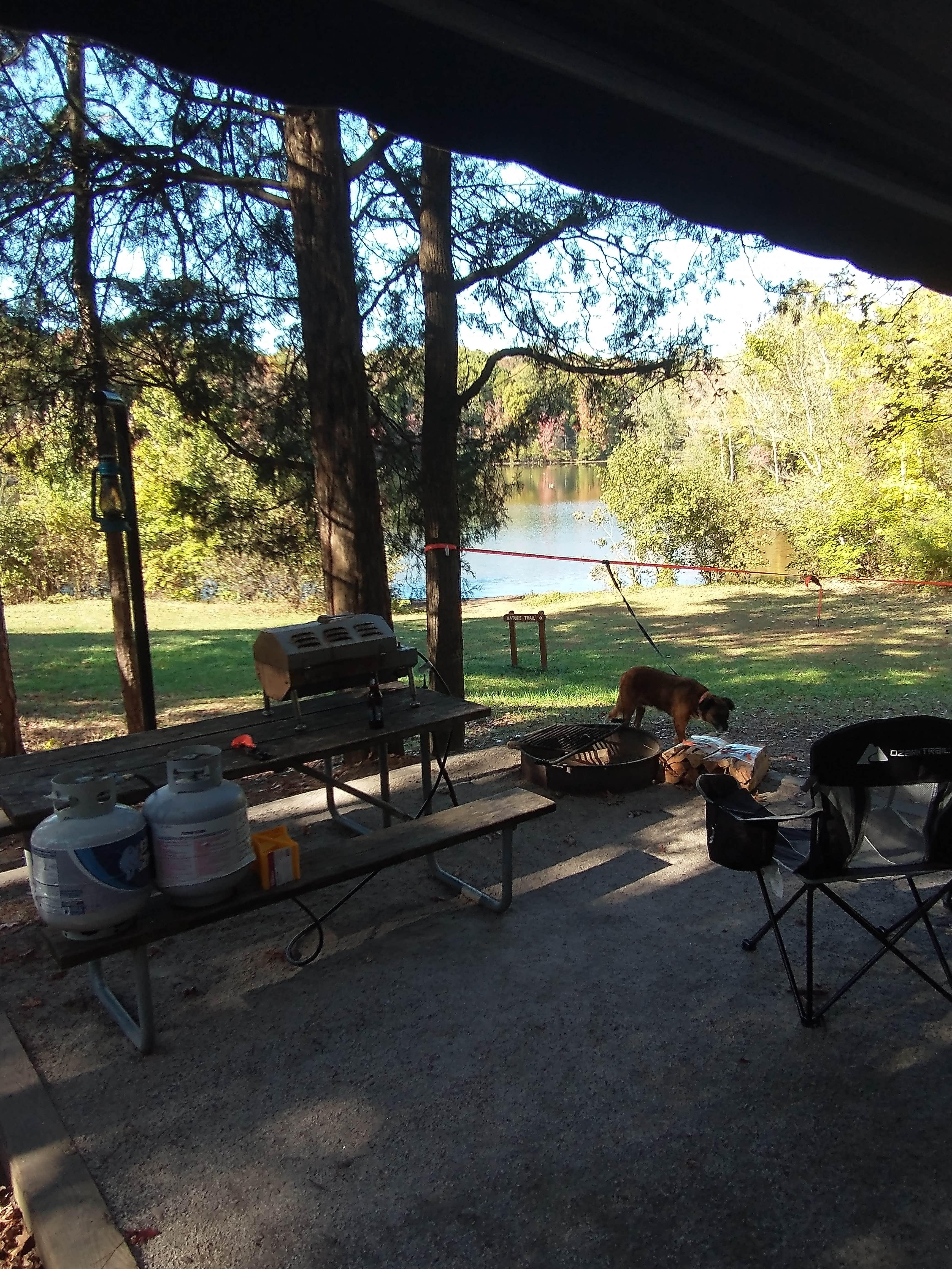 Aubrey O.'s photo at Andrew Jackson State Park Campground near Waxhaw, NC