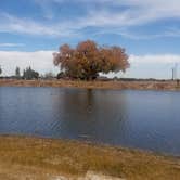 Review photo of Bosque Redondo Park by Steve O., November 1, 2021