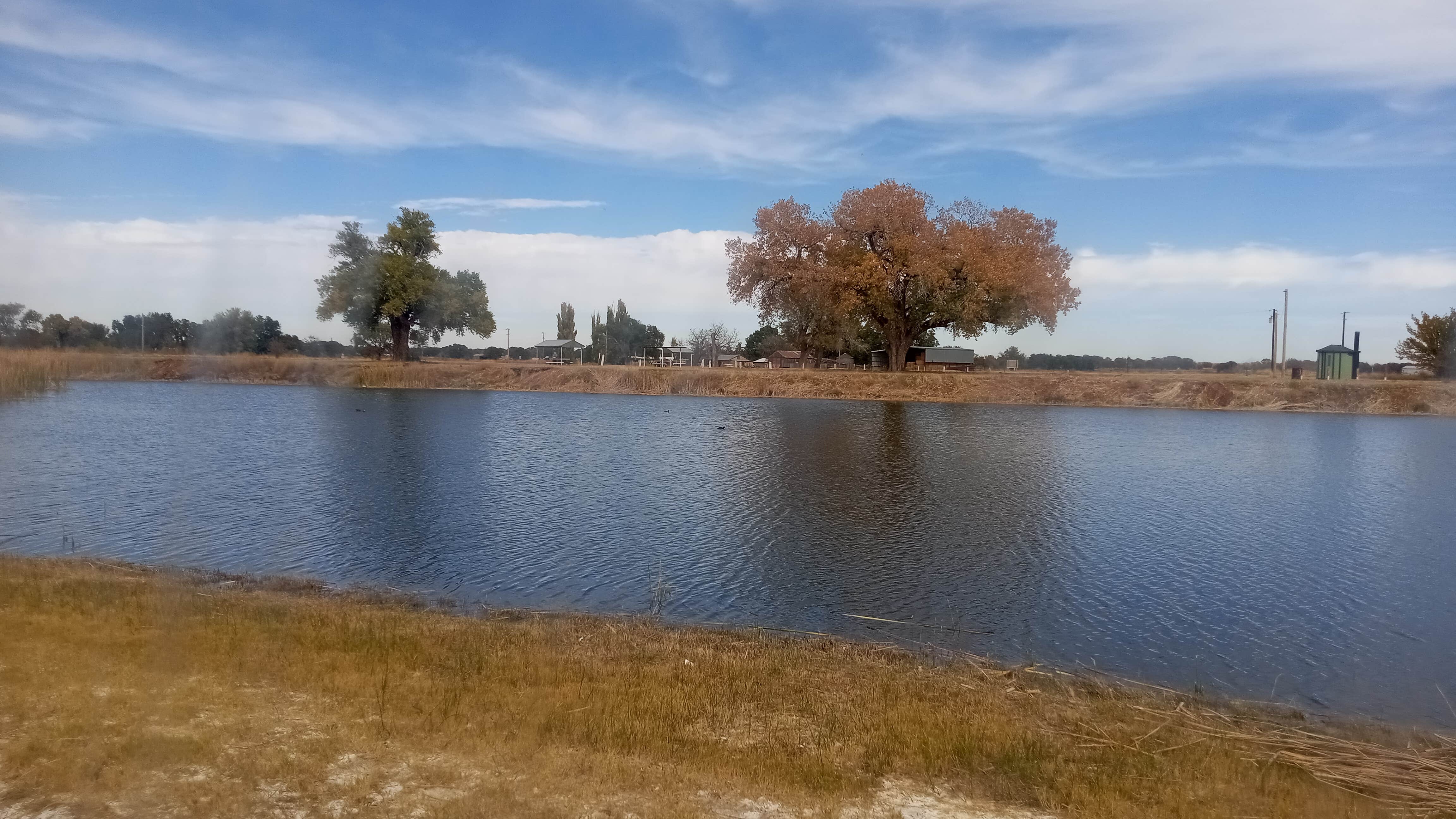 Camper submitted image from Bosque Redondo Park - 3