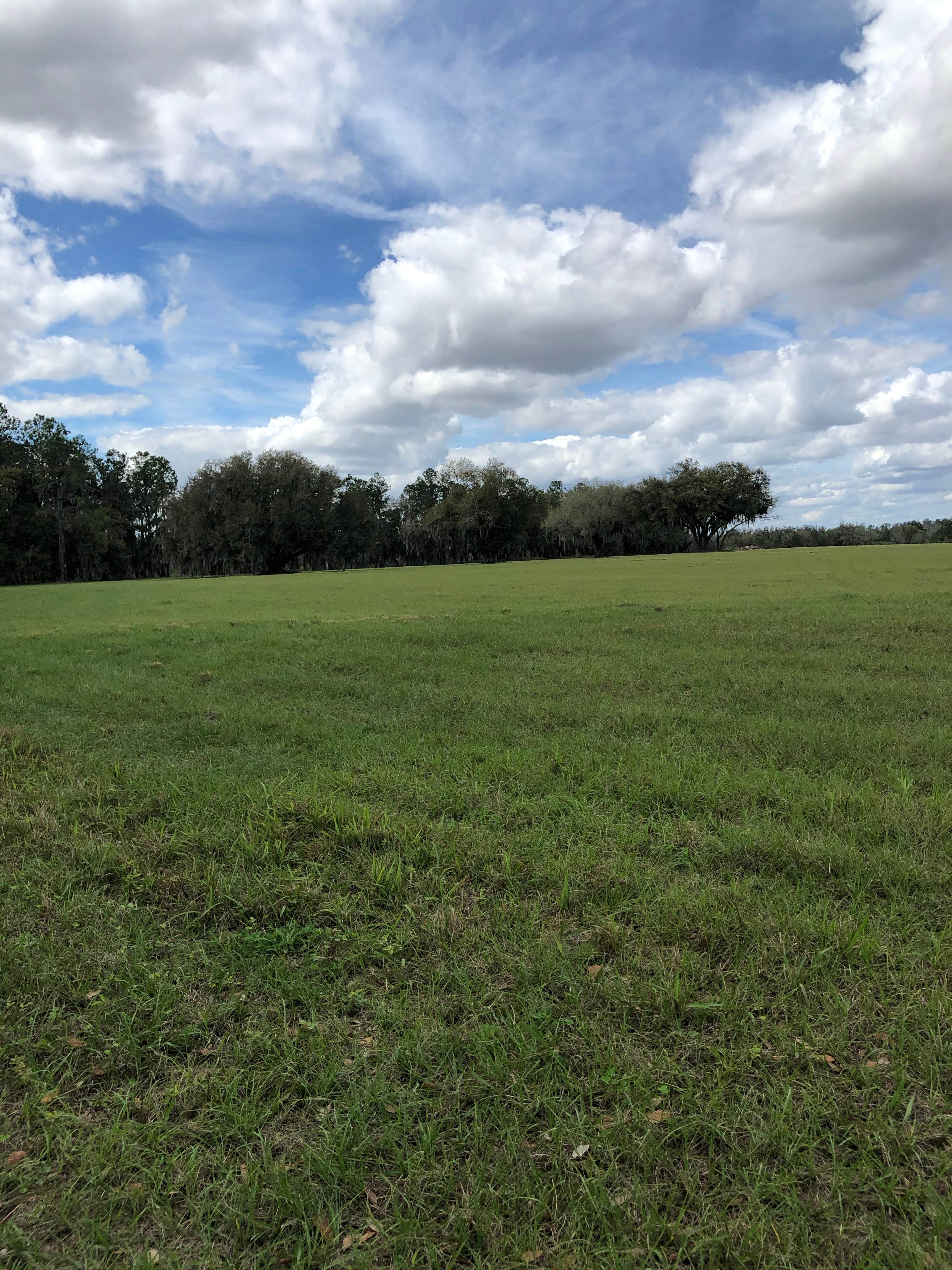 Camper-submitted photo at Hardee Lakes Park near Elkton, FL