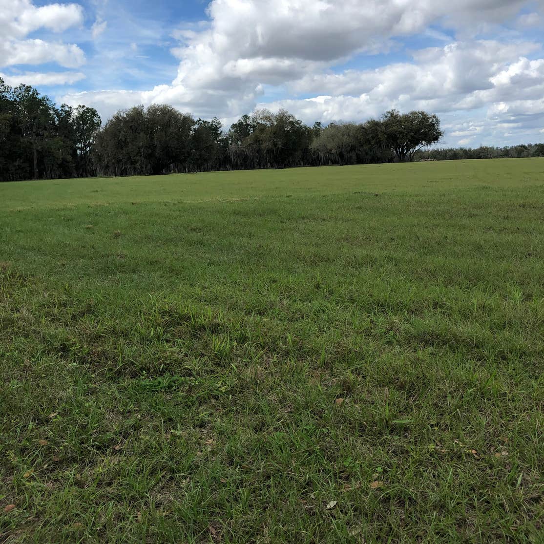 Hardee Lakes Park Camping | The Dyrt