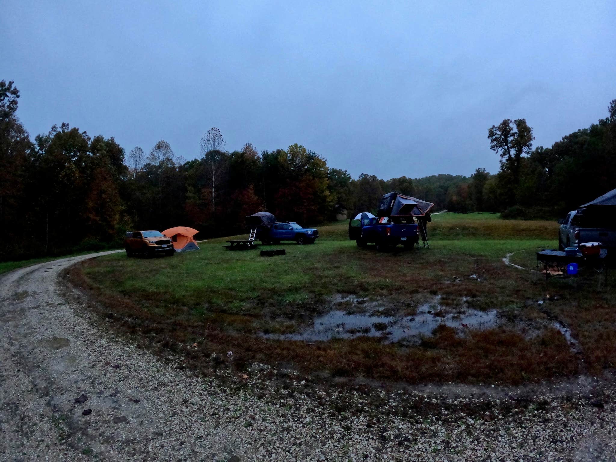 Camper submitted image from Daniel Boone National Forest White Sulphur Horse Camp - 3