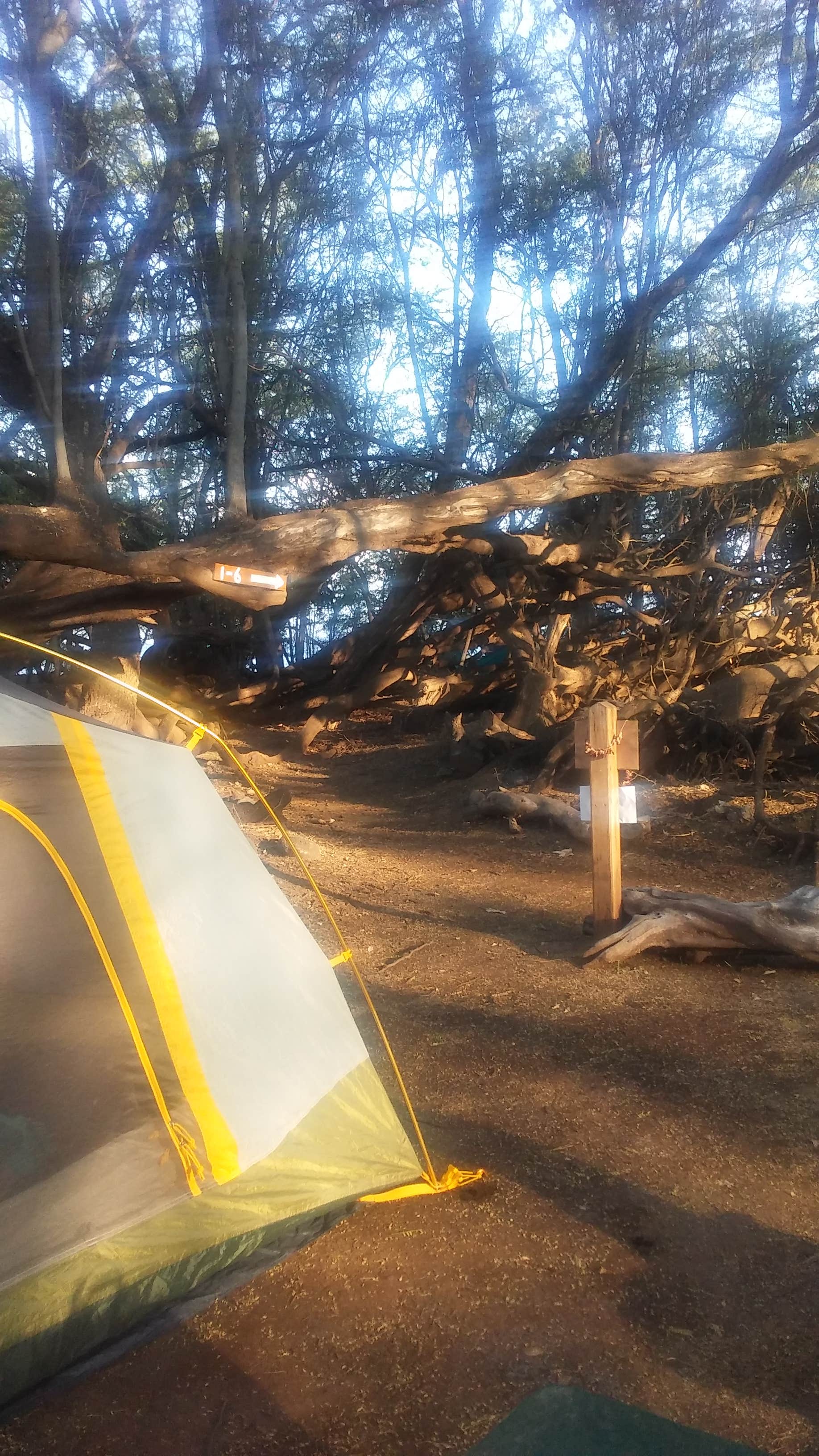 Carrie S.'s photo at Camp Olowalu near Wailuku, HI