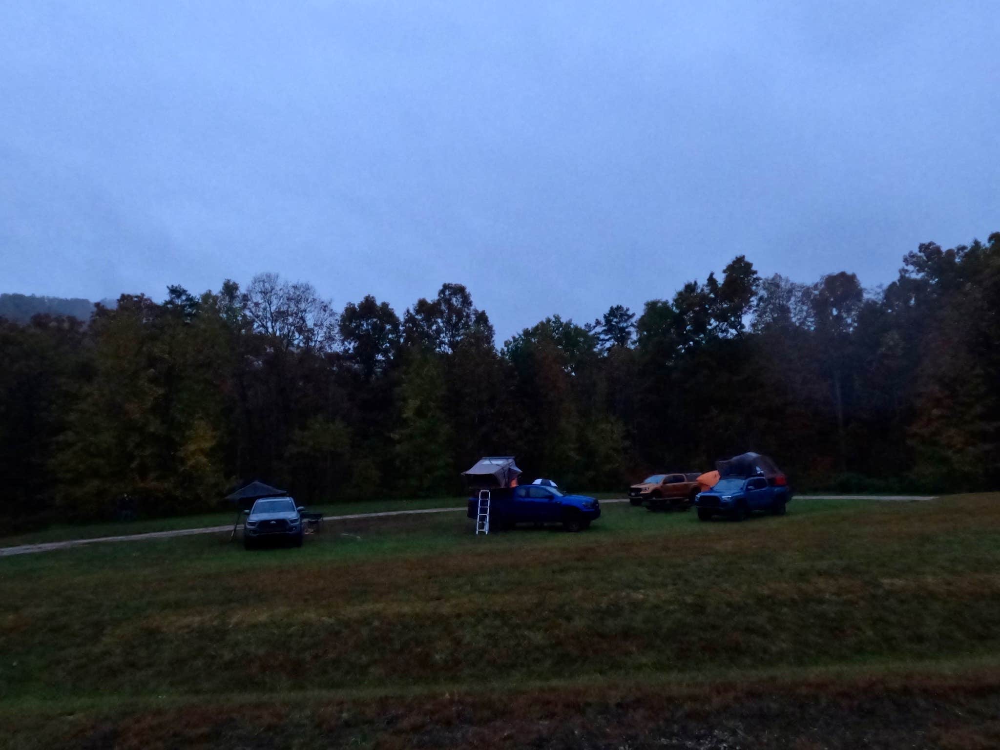 Camper submitted image from Daniel Boone National Forest White Sulphur Horse Camp - 1